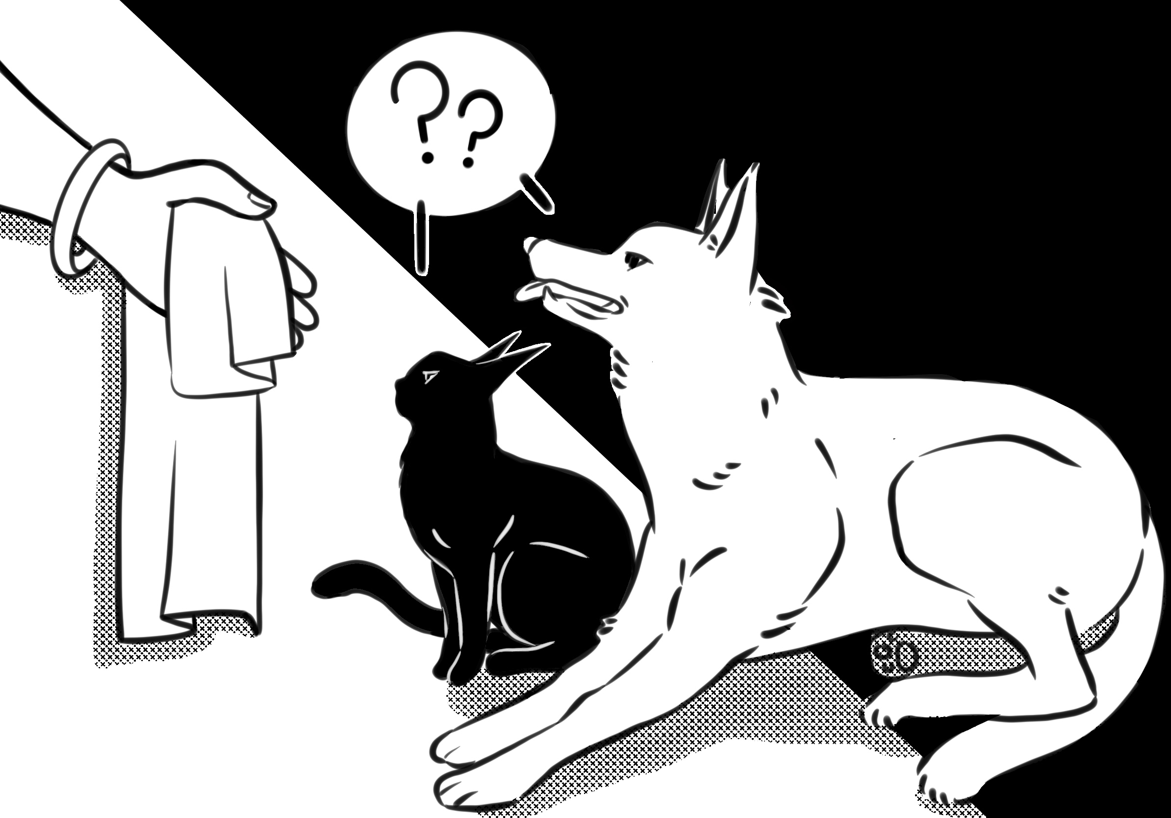 Selecting the Best Towel for Your Pet: A Comprehensive Guide cat and dog confused on which towel to choose